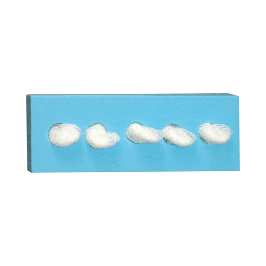 Sterile 1/2" Cherry Sponge, C-5 Holder