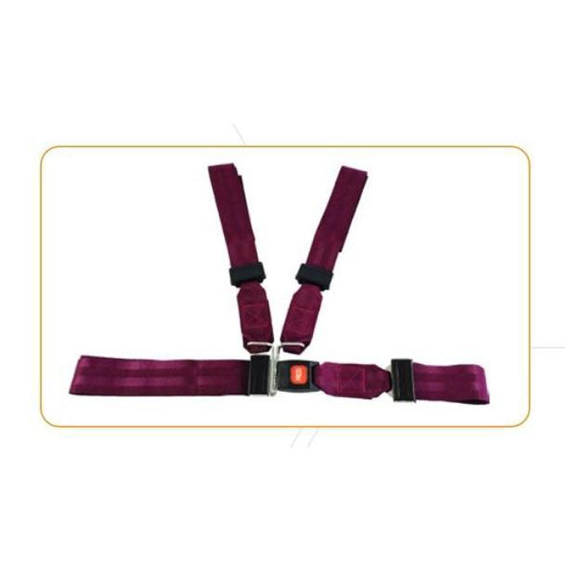 Torso/Waist Restraint